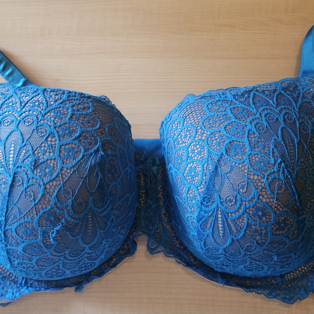 Torrid Teal Lace Bra